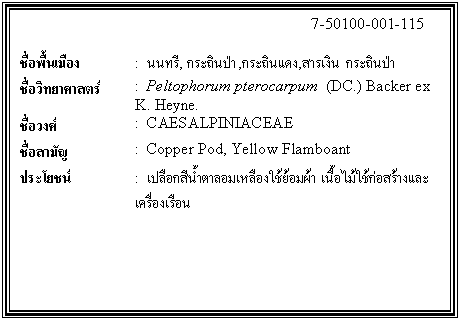 กล่องข้อความ: 7-50100-001-115 ชื่อพื้นเมือง : นนทรี, กระถินป่า,กระถินแดง,สารเงิน กระถินป่า ชื่อวิทยาศาสตร์ : Peltophorum pterocarpum (DC.) Backer ex K. Heyne. ชื่อวงศ์ : CAESALPINIACEAE ชื่อสามัญ : Copper Pod, Yellow Flamboant ประโยชน์ : เปลือกสีน้ำตาลอมเหลืองใช้ย้อมผ้า เนื้อไม้ใช้ก่อสร้างและเครื่องเรือน